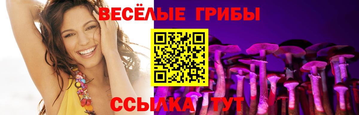Галлюциногенные грибы GOLDEN TEACHER  Вход с VPN  Семёнов  где можно купить   Галлюциногенные грибы Psilocybine cubensis 