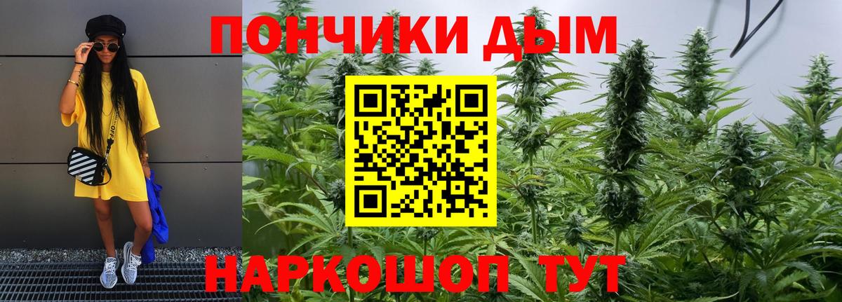 Семёнов  Бошки Шишки сатива  Конопля MAZAR  Вход с VPN 